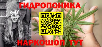 эйфоретик Малгобек